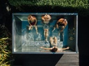 Electric Pool - 3m x 2m — view 2